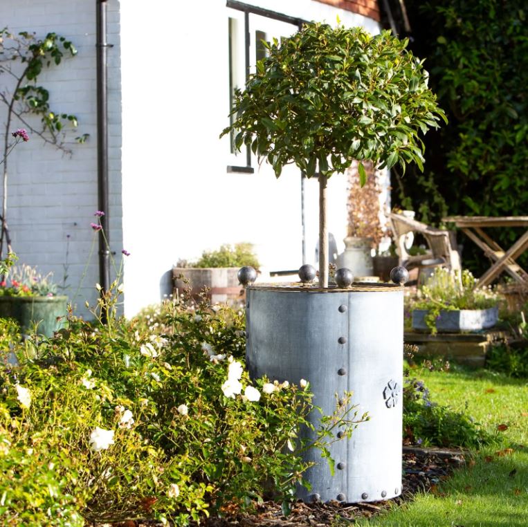 8 Reasons to Choose Garden Planters 